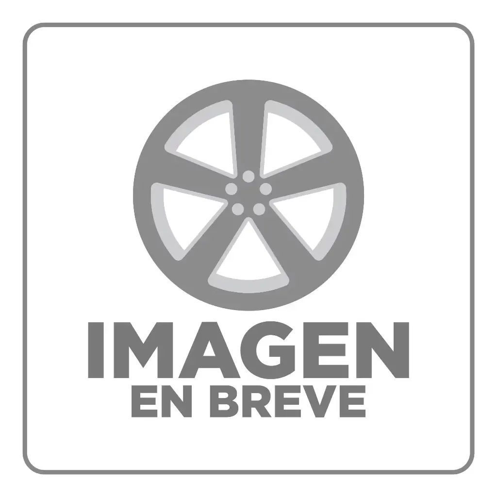 RIN 17X9.5 4-100/5-100 R1 SPORT L1929 OZ BLACK MF MI CROM RIVETS ET25 CB73.1